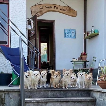 B&B Il Tempo Del Sogno Con Cani E Gatti Pet&Breakfast Baveno Eksteriør bilde