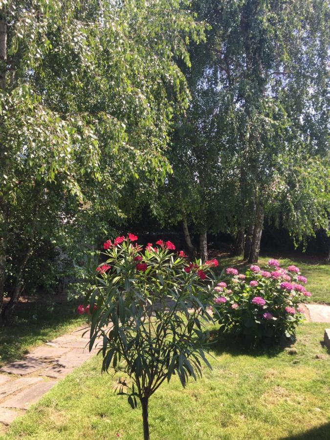 B&B Il Tempo Del Sogno Con Cani E Gatti Pet&Breakfast Baveno Eksteriør bilde